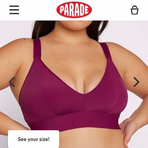 Parade Triangle Bralette